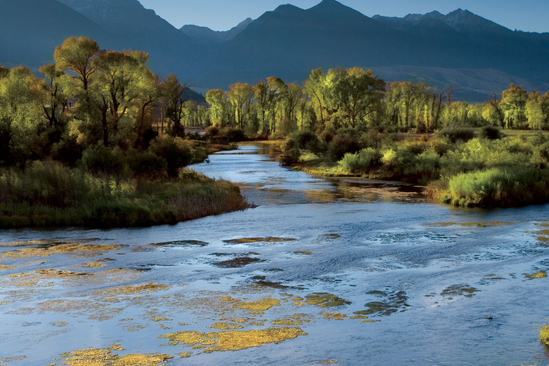 Boating Terms & Jargon Glossary Bass Pro Boating Centers